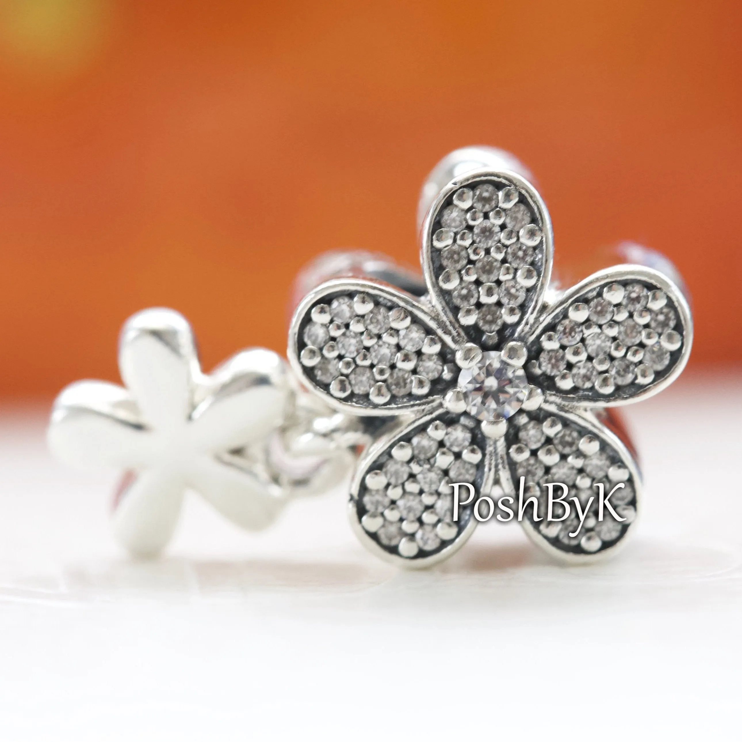 Dazzling Daisy Duo Charm 792098CZ