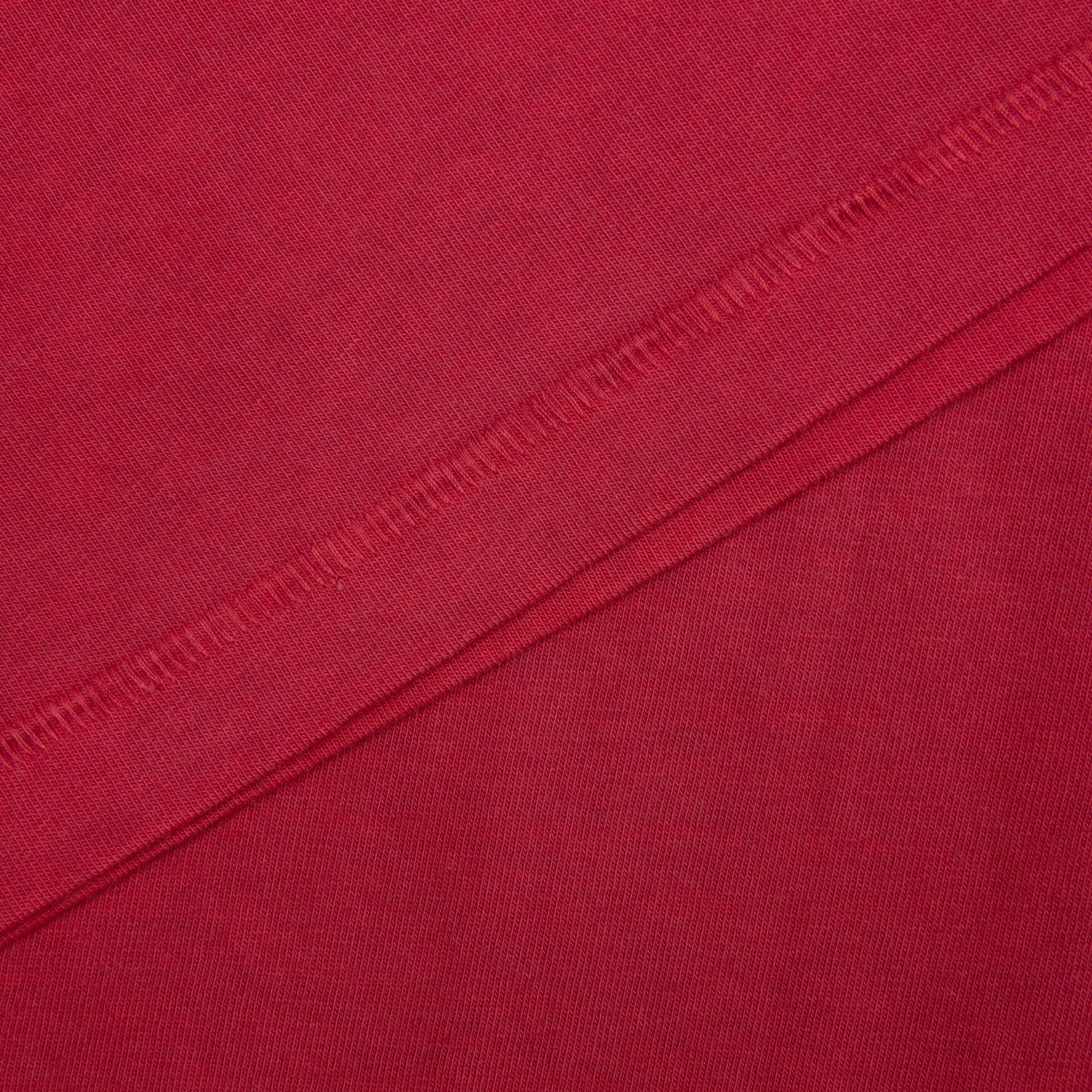 Haring Tee - Pigment Cranberry